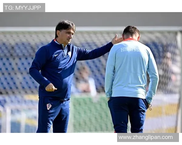 欧洲杯球队备战与赛中调整的成功案例