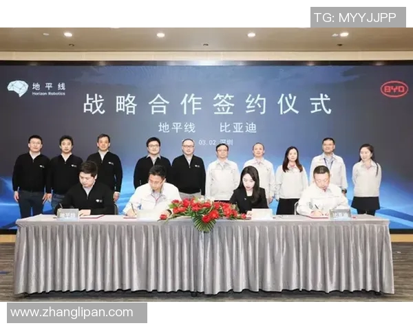 奥运会游泳接力赛中的战略布局与团队协作分析探讨